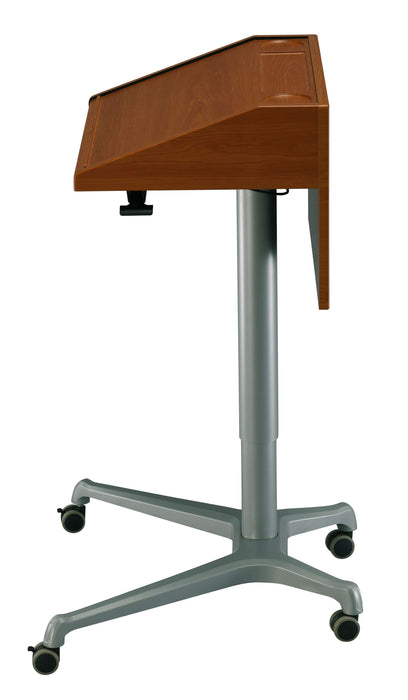 ADJUSTABLE MOBILE PEDESTAL